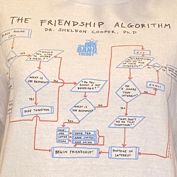 The Big Bang Theory The Friendship Algorithm by Sheldon Cooper Tee Shirt Medium - Picture 3 of 5